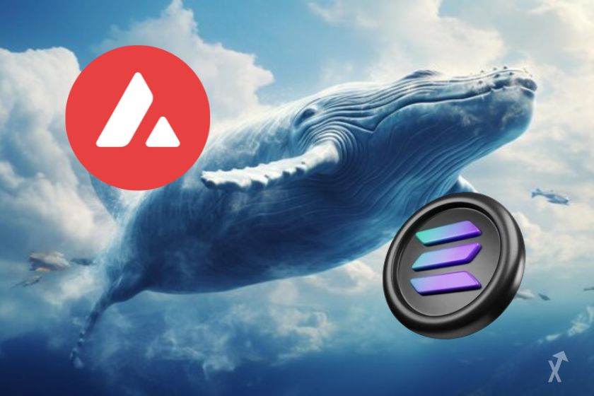 Baleine accumulent 3 crypto 2025