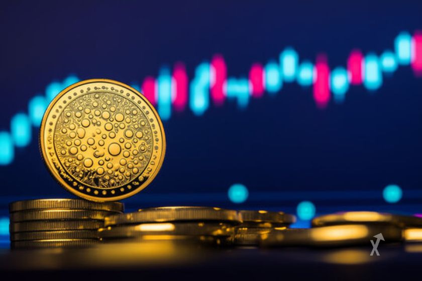 Cardano (ADA) engouement investisseurs