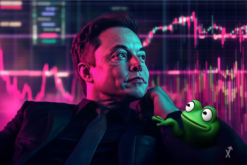 Elon Musk crypto pepe