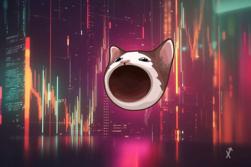 Memecoin popcat solana record prix