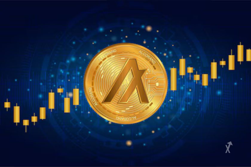 crypto Algorand s'envole