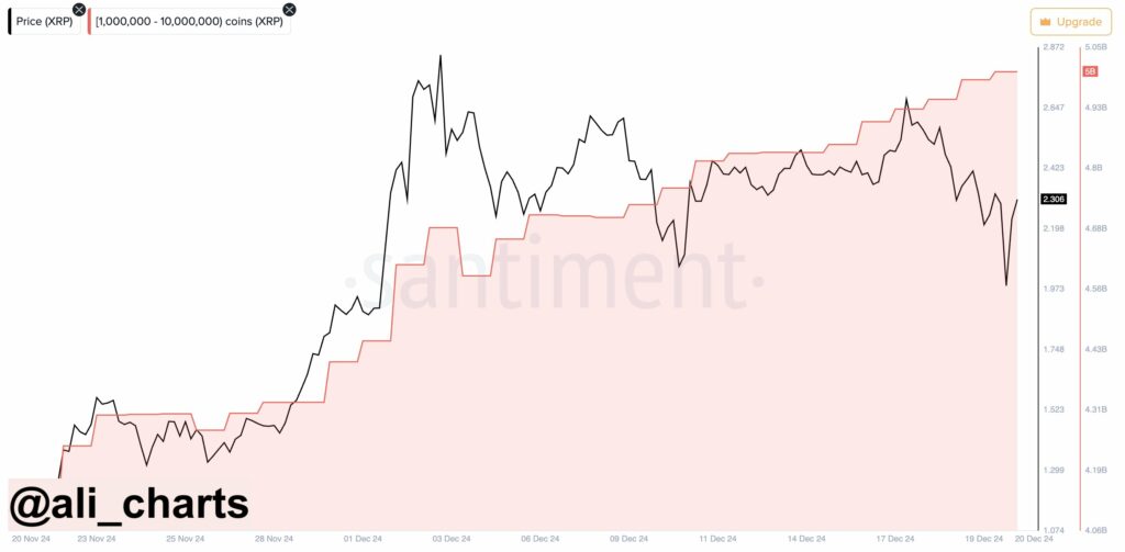 Activité des baleines XRP  80 millions achetés après la correction du 17 décembre.