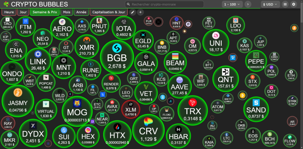 Prix marché cryptomonnaies decembre 2024 altcoins