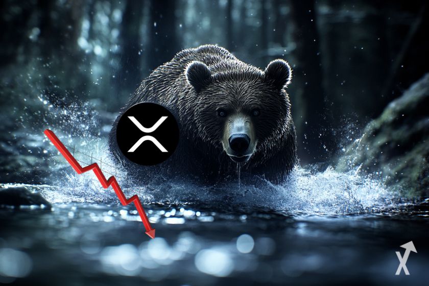 xrp bear