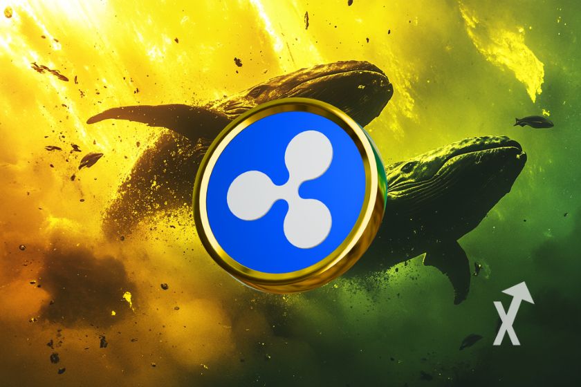 cover xrp