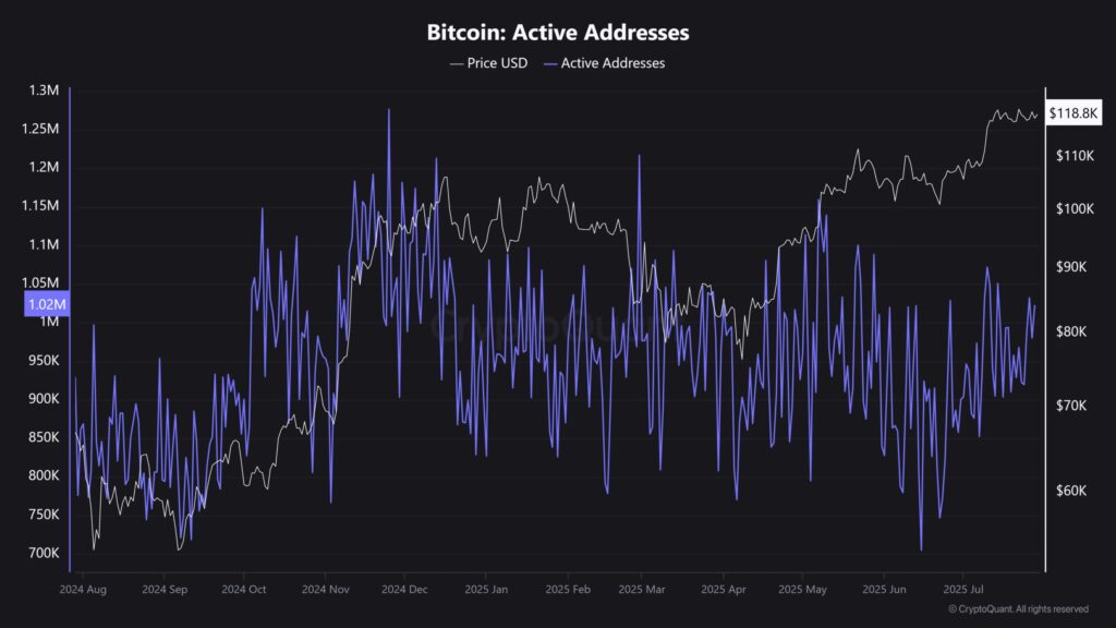 BTCActive Addresses chart
