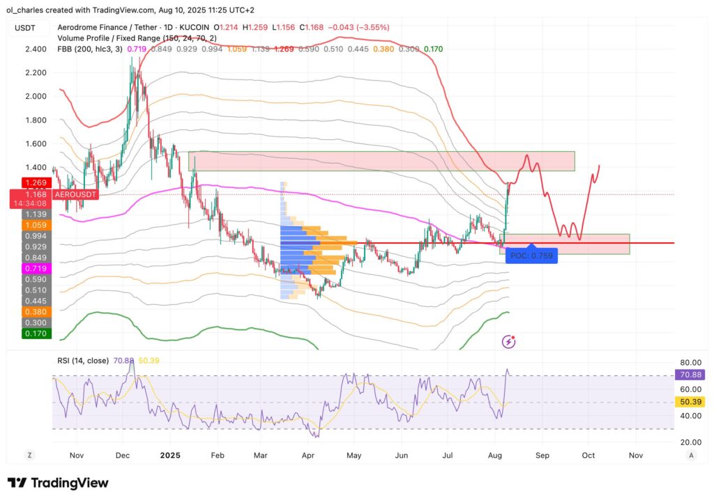 curso del AERO en 1 día