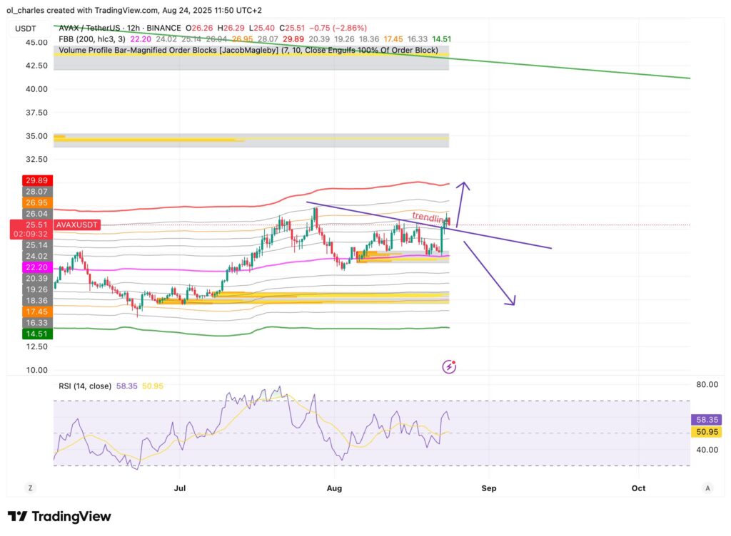 curso de AVAX en 12H