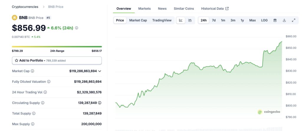 BNB market cap and daily chart