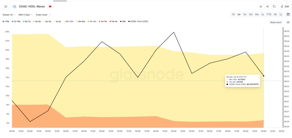 Dogecoin price and HODL waves
