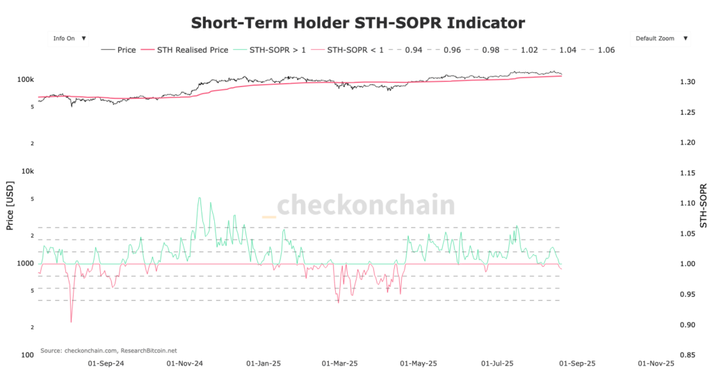 graphique SOPR STH BItcoin