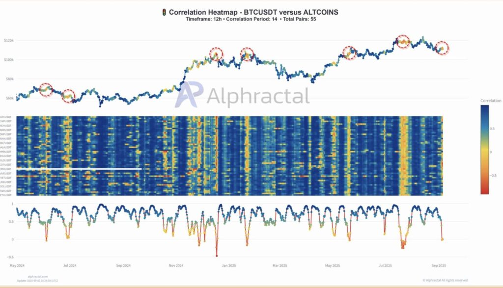 graphique Bitcoin correlation avec Altcoins