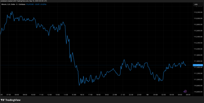 bitcoin bull run crypto