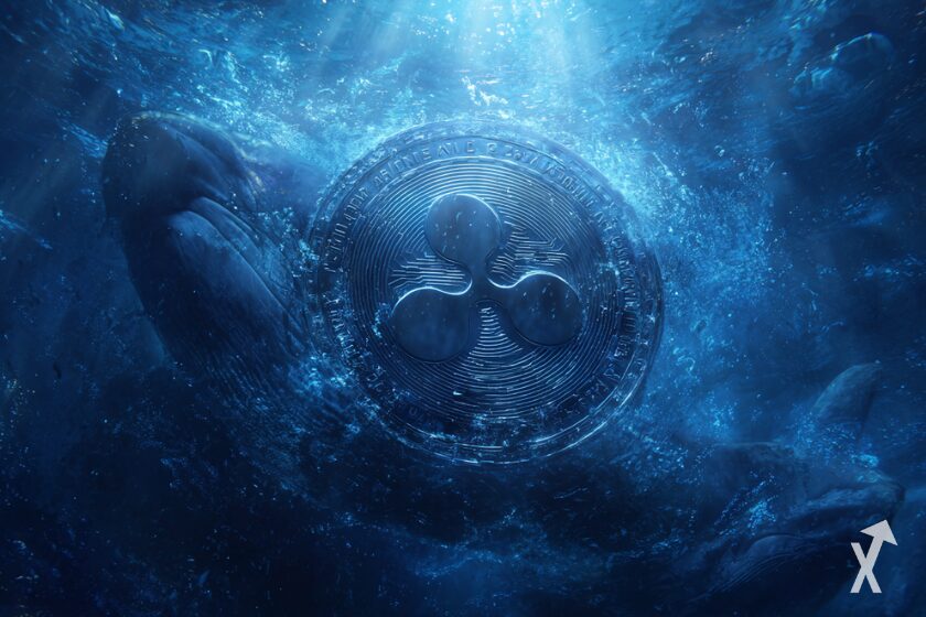 xrp ripple whales