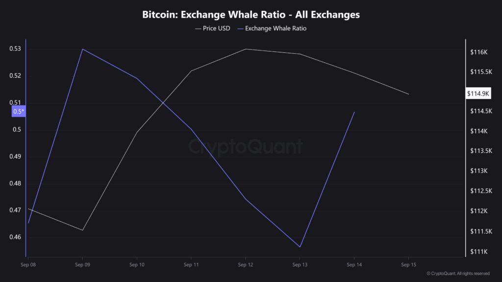 graphique Bitcoin exchanges ratio whale