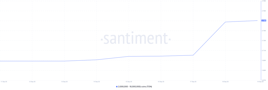 gráfico de posiciones de las ballenas para TON