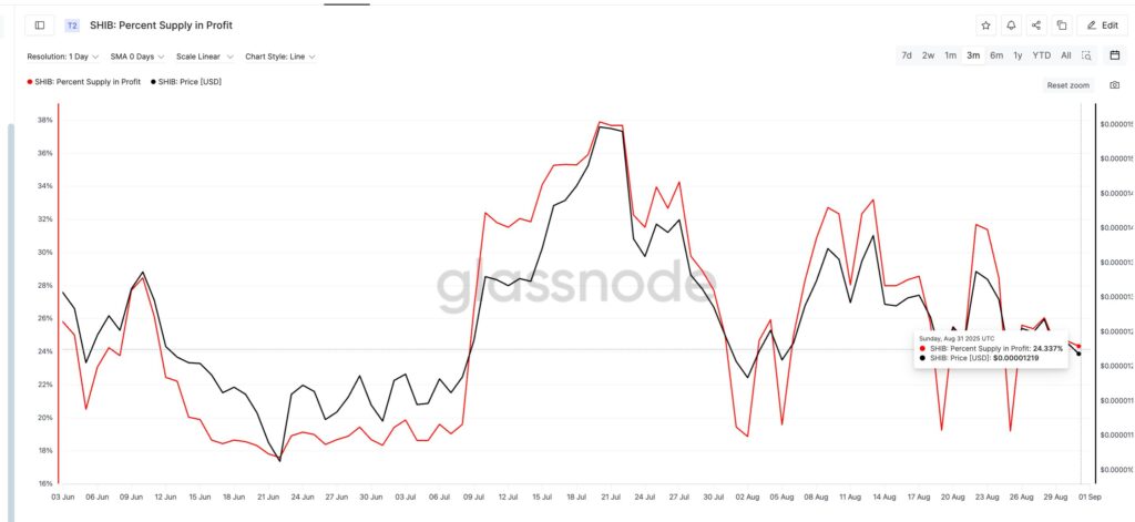 gráfico supply en beneficio en SHIB