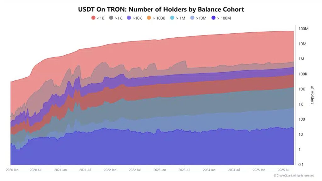 gráfico de posiciones USDT en Tron