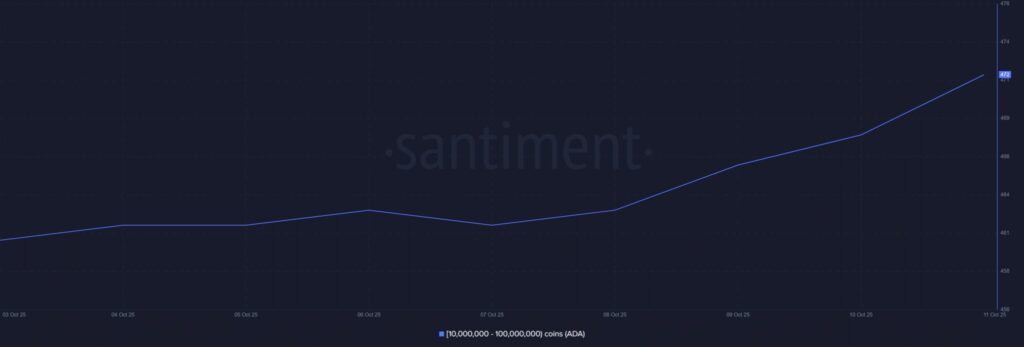 compra masiva de ballena en ada