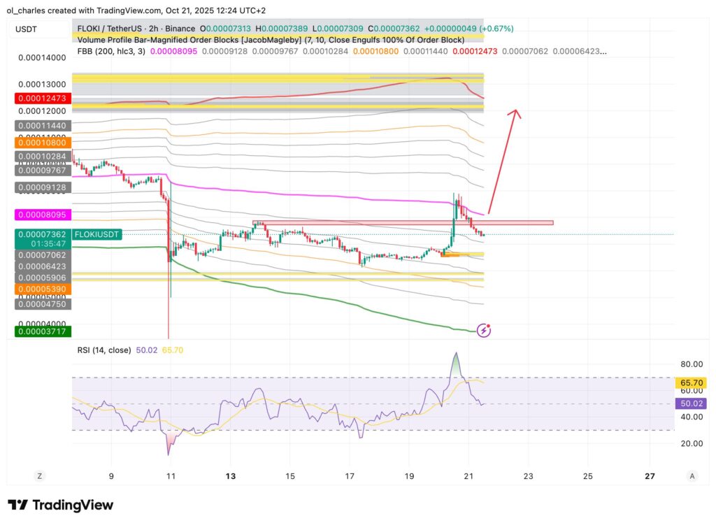 gráfico del precio de FLOKI en 2 horas con FBB