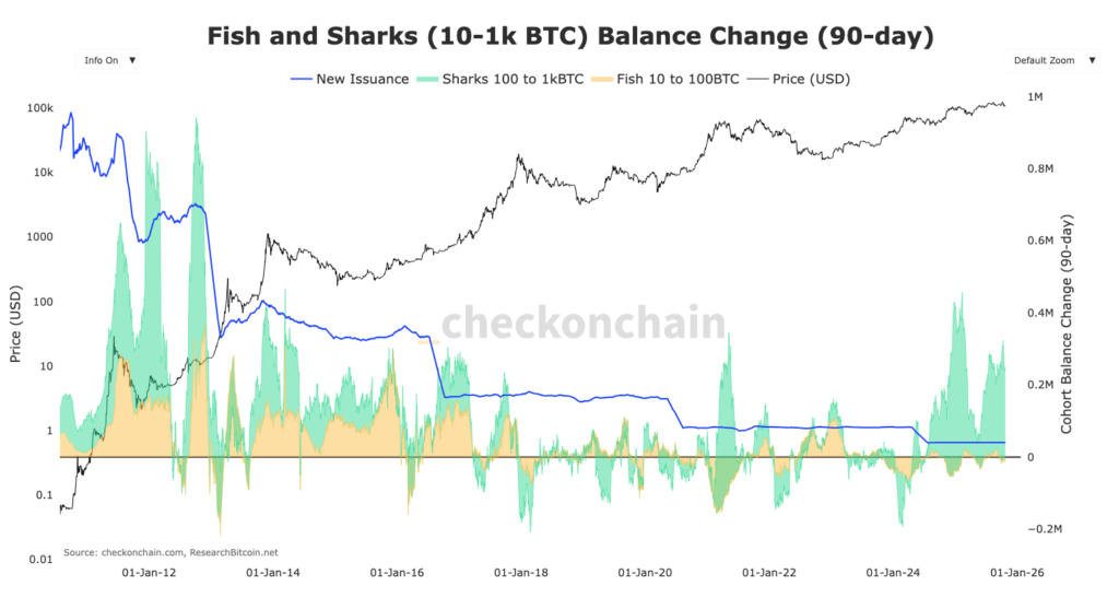 gráfico de los gastos de fish and sharks Bitcoin con precio del BTC