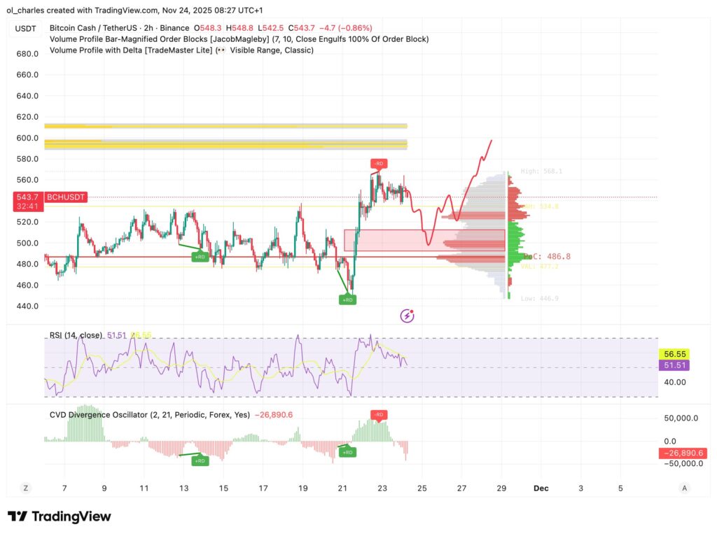 curso del BCH Bitcoin cash en 2 horas con volume profile y RSI, Delta volume