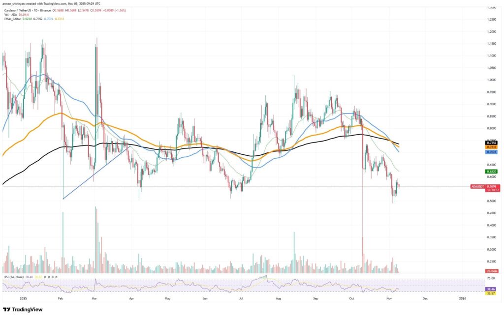 Un gráfico de precios que revela la evolución del precio de Cardano en los últimos meses con un análisis técnico en profundidad