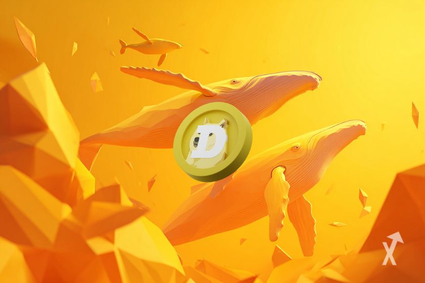 Les baleines Dogecoin vendent plus de 3 milliards de DOGE : Que se passt-t-il ?