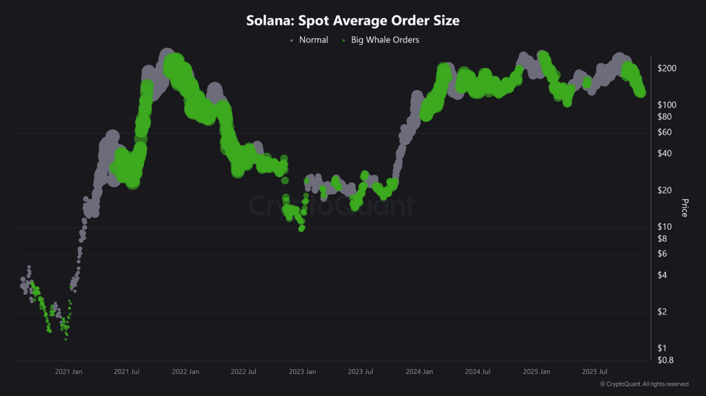Solana buy spot de las ballenas en puntos verdes en el gráfico del precio