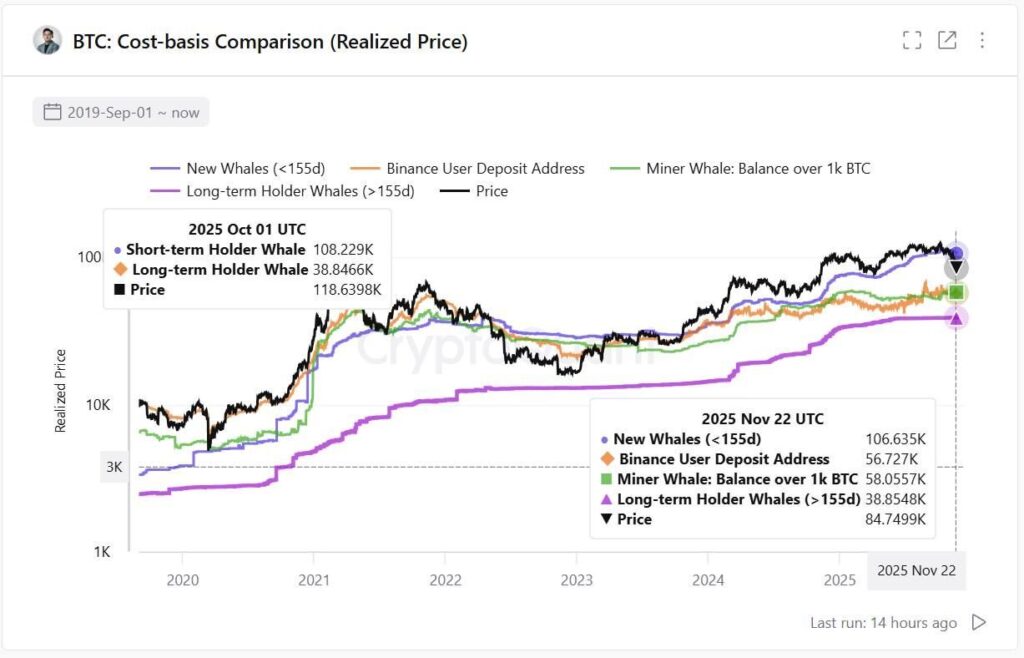 gráfico cost basis de las ballenas Bitcoin con curvas de diferentes colores