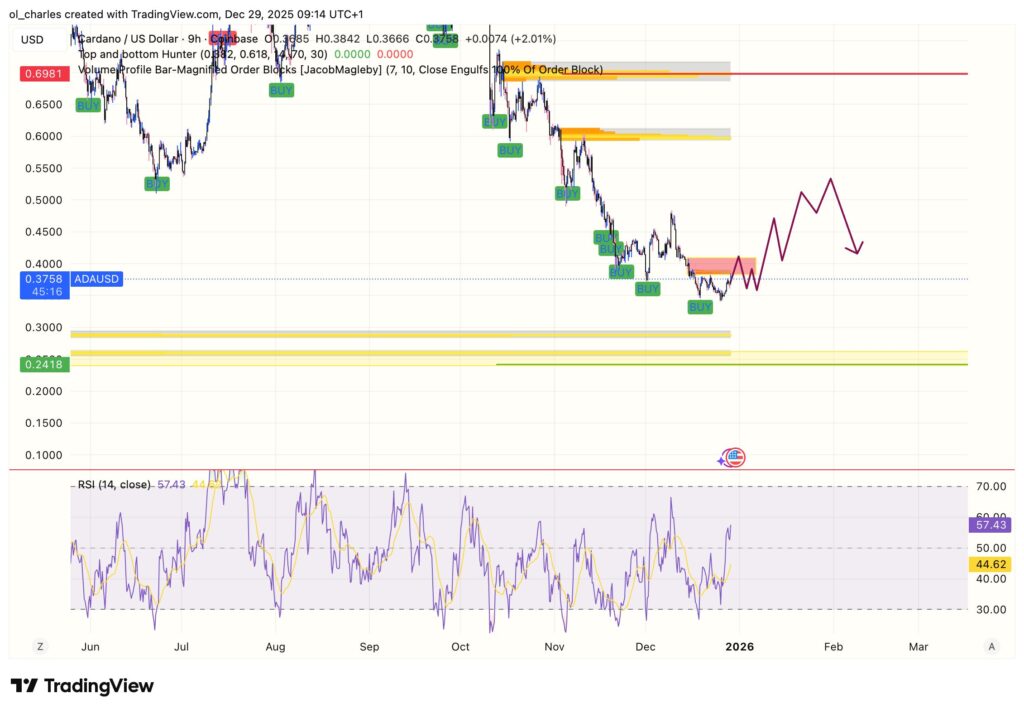cours de l'ada cardano en 9 heures avec order blocks et rsi