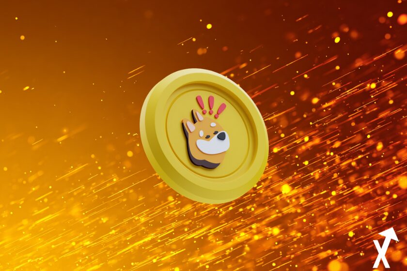 bonk coin jaune orange sur fond orange soleil