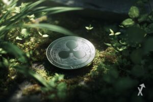 Une pièce en argent avec le logo XRP tombée dans la nature