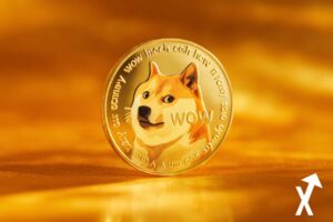 dogecoin coin doré entouré de lumiere du soleil sur fond orange jaune coloré clean