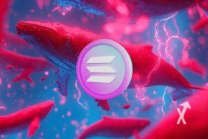 coin solana en rose sur un fond bleu avec des baleines en rose flashy