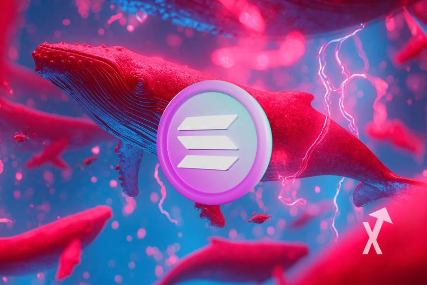 coin solana en rose sur un fond bleu avec des baleines en rose flashy