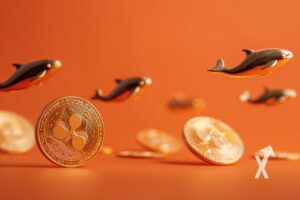 coin XRP sur un fond orange avec des baleines