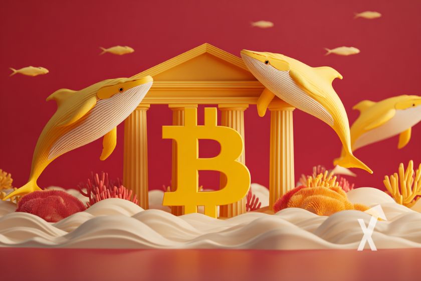 Bitcoin Logo avec baleines sur un fond rouge